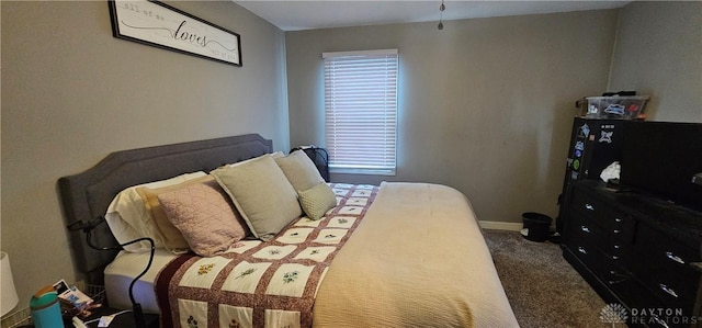 carpeted bedroom with multiple windows