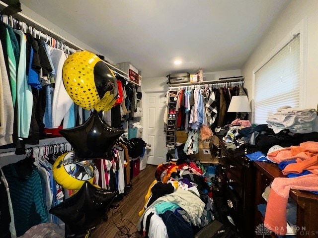 spacious closet featuring dark hardwood / wood-style floors