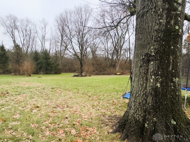 view of yard featuring a trampoline