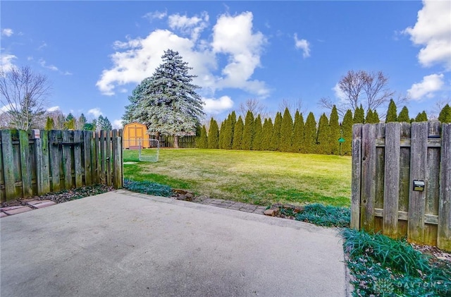 view of yard featuring a patio and a storage shed