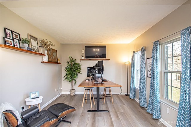 office with wood-type flooring and a wealth of natural light