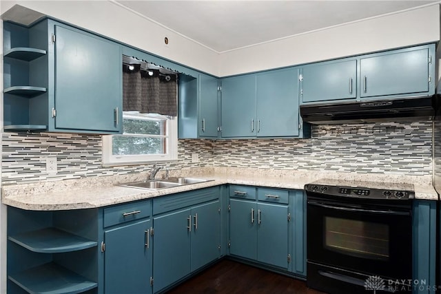 kitchen featuring blue cabinetry, black / electric stove, and sink