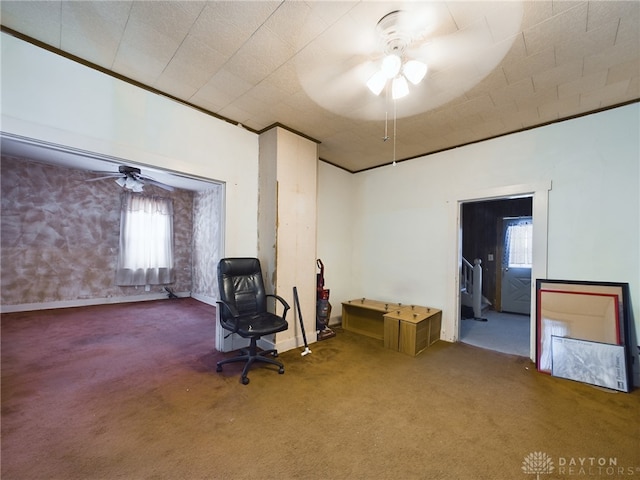 interior space with carpet floors, ceiling fan, and ornamental molding