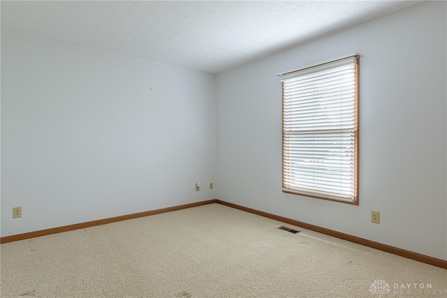 spare room featuring carpet flooring and a wealth of natural light