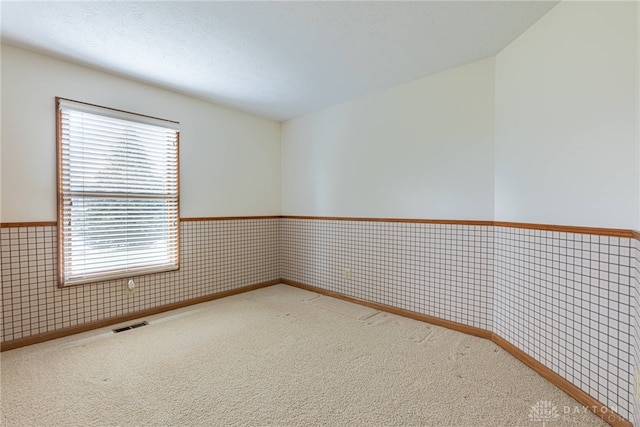 carpeted empty room with a healthy amount of sunlight