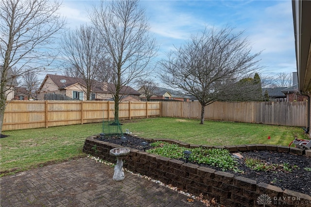 view of yard featuring a patio