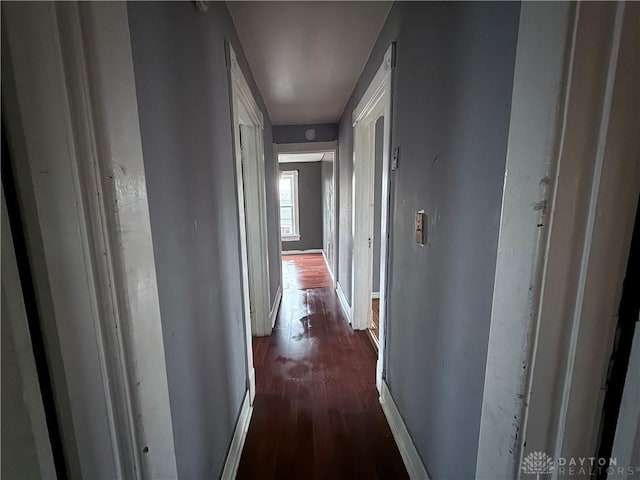 hall with dark hardwood / wood-style flooring