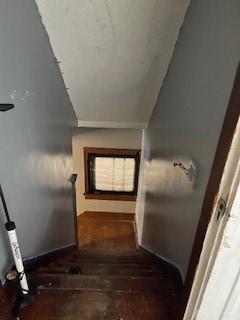 staircase featuring wood finished floors