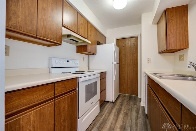 kitchen with dark hardwood / wood-style flooring, white appliances, and sink