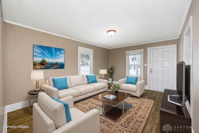 living room featuring crown molding and dark wood-type flooring