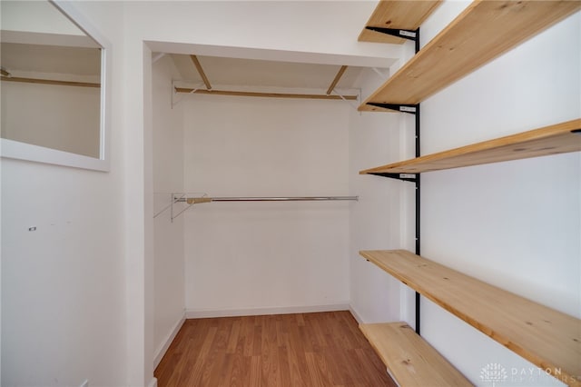 spacious closet featuring wood finished floors