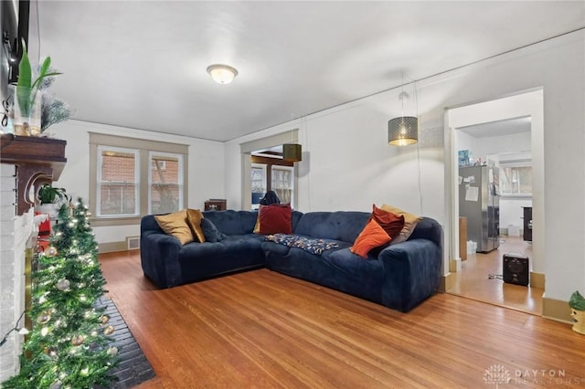 living room featuring wood-type flooring