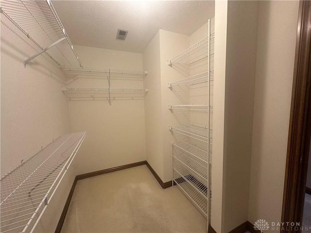 spacious closet featuring carpet