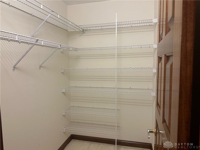 view of spacious closet