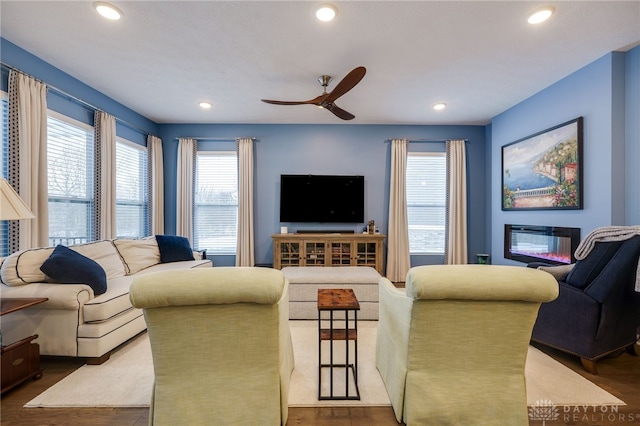 living room with ceiling fan and wood-type flooring