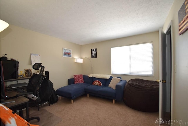 home office with carpet and a textured ceiling