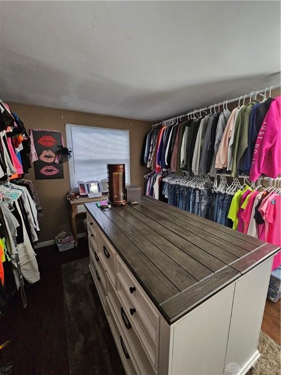 view of walk in closet