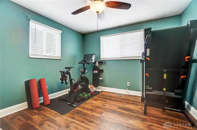 workout room with ceiling fan and dark wood-type flooring