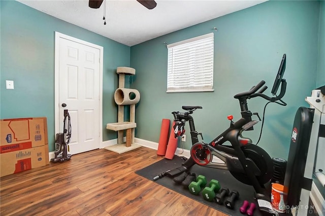 workout room with ceiling fan and wood-type flooring