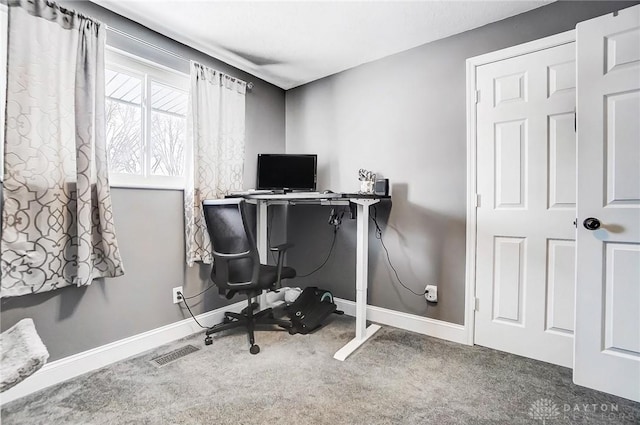 office space with carpet