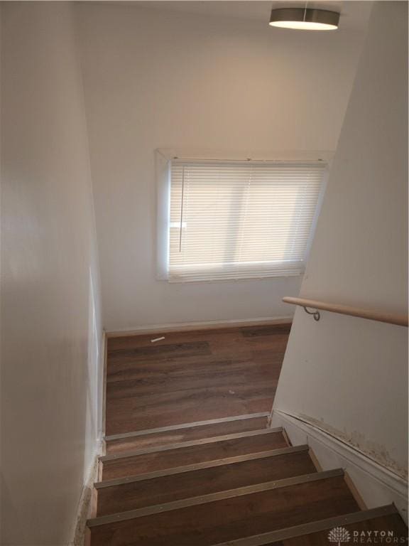 staircase featuring hardwood / wood-style floors