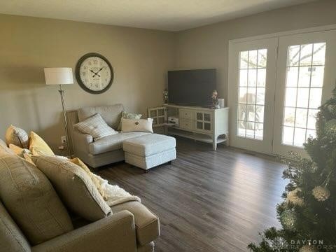 living room featuring dark wood-type flooring