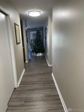 corridor with dark wood-type flooring