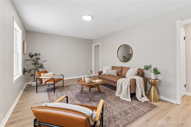 living room with a healthy amount of sunlight and light hardwood / wood-style flooring