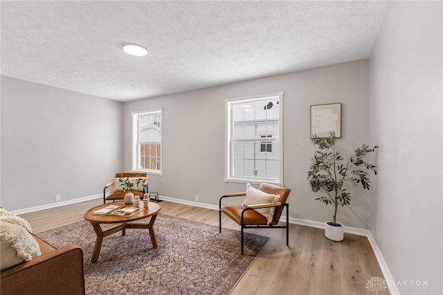 sitting room featuring a textured ceiling and light hardwood / wood-style flooring