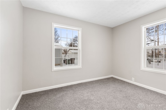 spare room featuring carpet floors