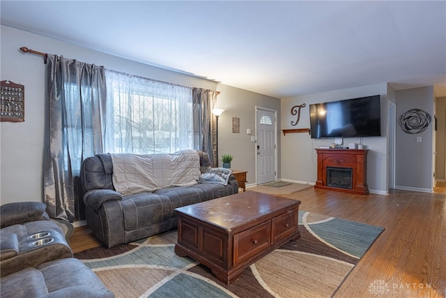 living room featuring hardwood / wood-style floors