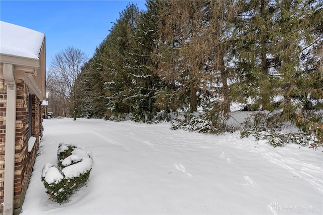 view of yard layered in snow