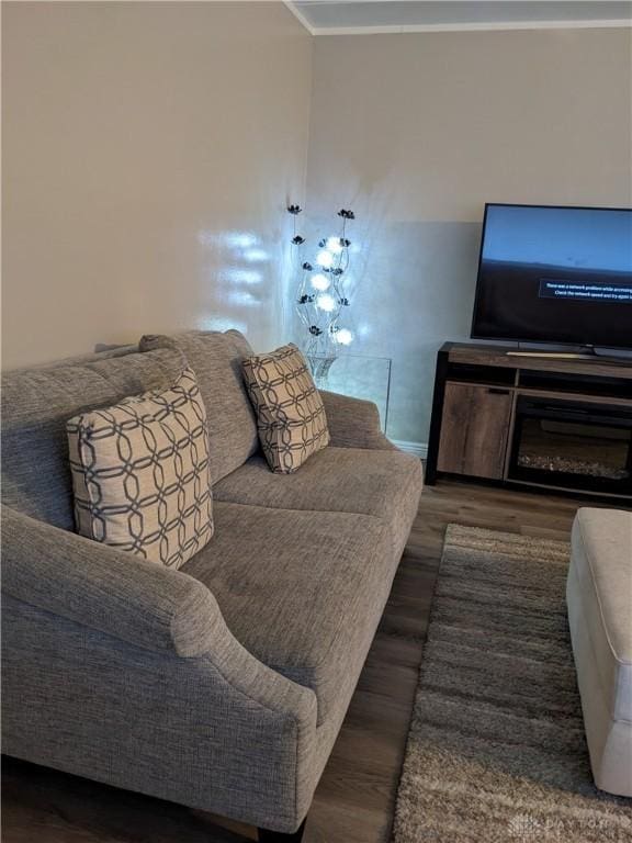 living room featuring dark hardwood / wood-style floors