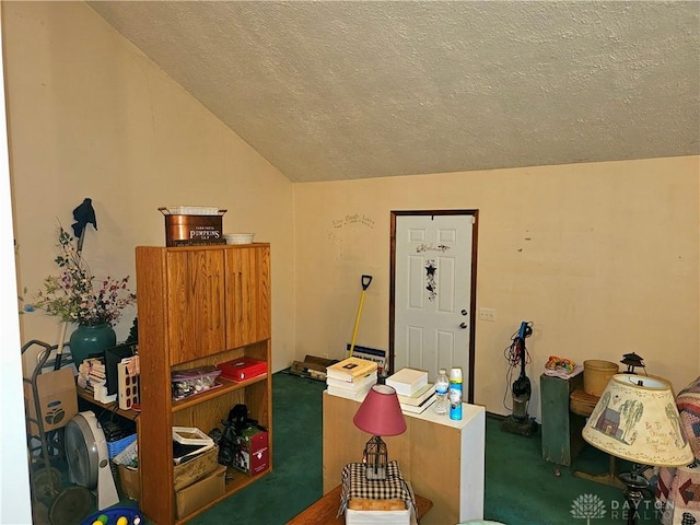 office space with lofted ceiling, dark carpet, and a textured ceiling