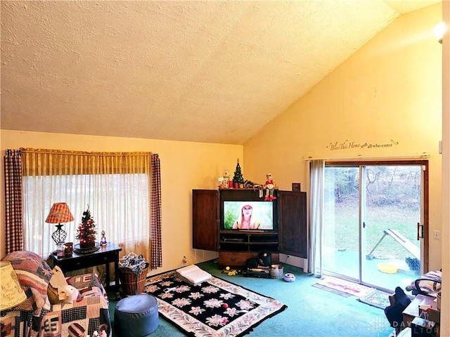 carpeted living room featuring a textured ceiling and lofted ceiling