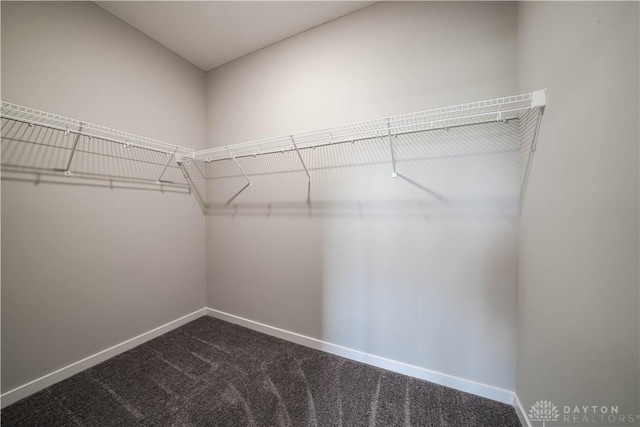 walk in closet featuring carpet