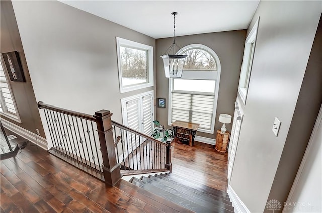 foyer featuring dark hardwood / wood-style flooring and a chandelier