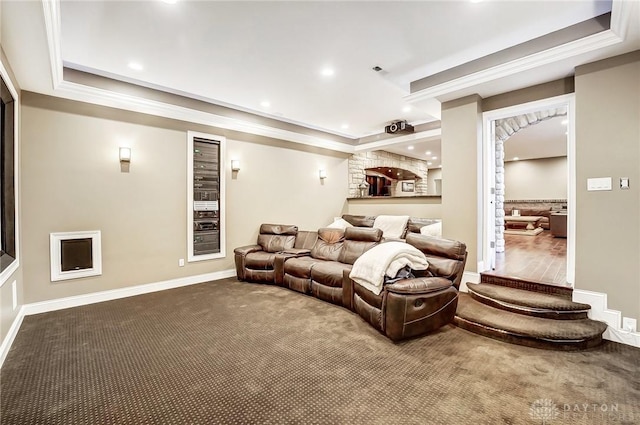 carpeted home theater with a raised ceiling