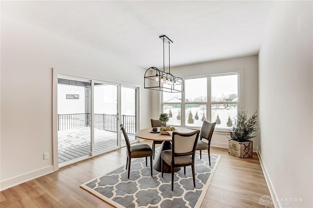 dining room featuring a chandelier and light hardwood / wood-style floors