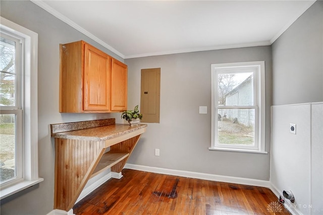 interior space featuring ornamental molding, dark wood-type flooring, plenty of natural light, and electric panel