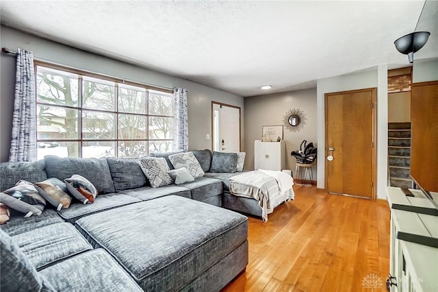 living room featuring hardwood / wood-style floors