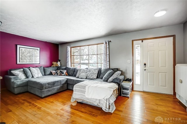 living room featuring light hardwood / wood-style floors and a textured ceiling