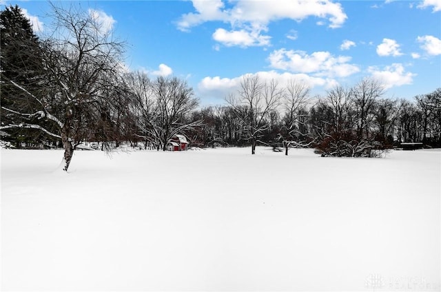 view of snowy yard