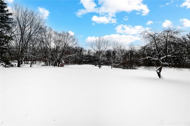 view of yard layered in snow