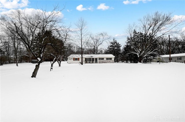 view of yard layered in snow