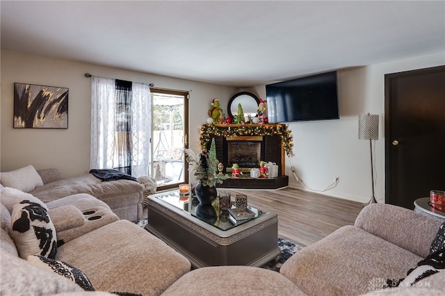 living room with wood-type flooring