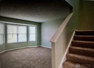 stairs featuring carpet floors