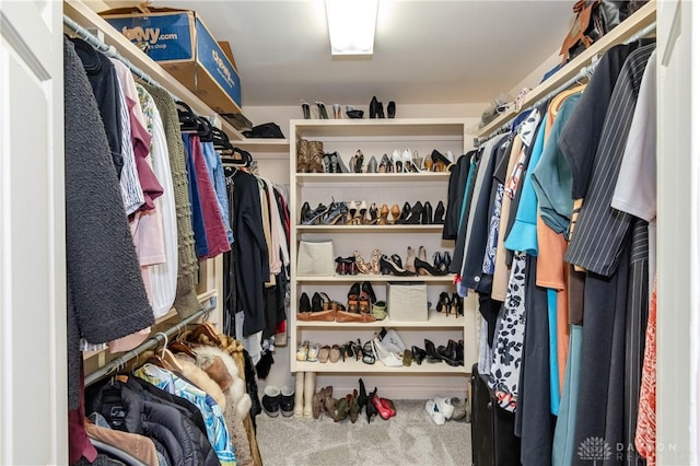 spacious closet featuring carpet floors