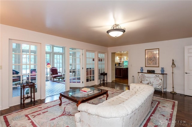 living room featuring dark hardwood / wood-style flooring and french doors