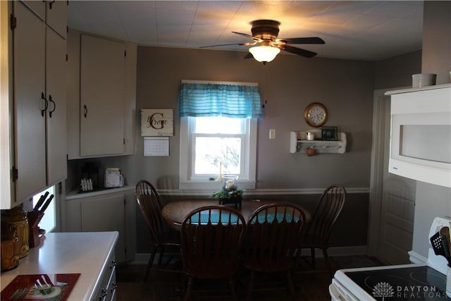 dining space with ceiling fan